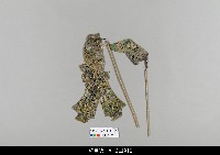 藏品(中國湖北皮影戲偶身)的圖片